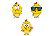 Yellow Chick Collection