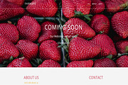Farmers - Coming Soon Template HTML
