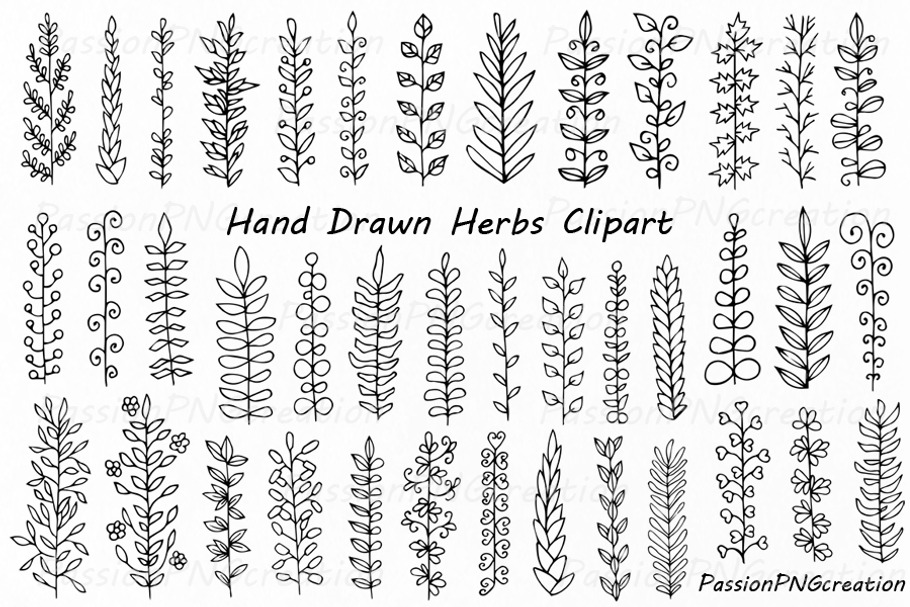 Hand Drawn Herbs Clipart in Illustrations - product preview 8