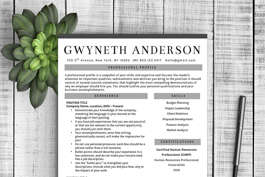 Professional Resume Template "Grey"