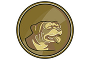 Rottweiler Guard Dog Head Gold 