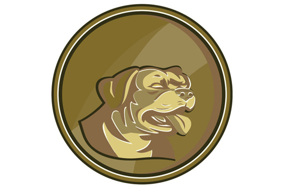 Rottweiler Guard Dog Head Gold 