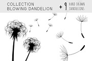 Collection blowing Dandelion
