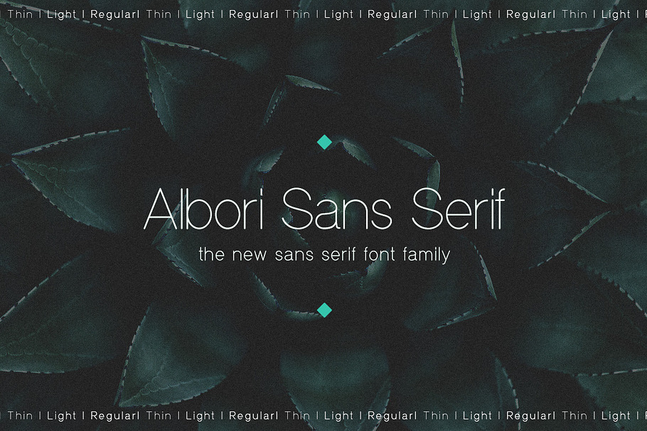 Albori Sans-Serif in Text Fonts - product preview 8
