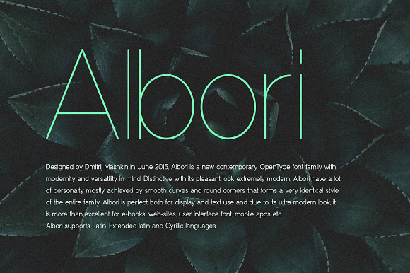 Albori Sans-Serif in Text Fonts - product preview 3