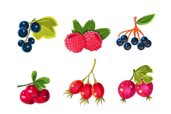 Juicy Colorful Berry Vector Set 