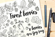 Vector drawings forest berries