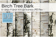 10 Birch Tree Bark Textures