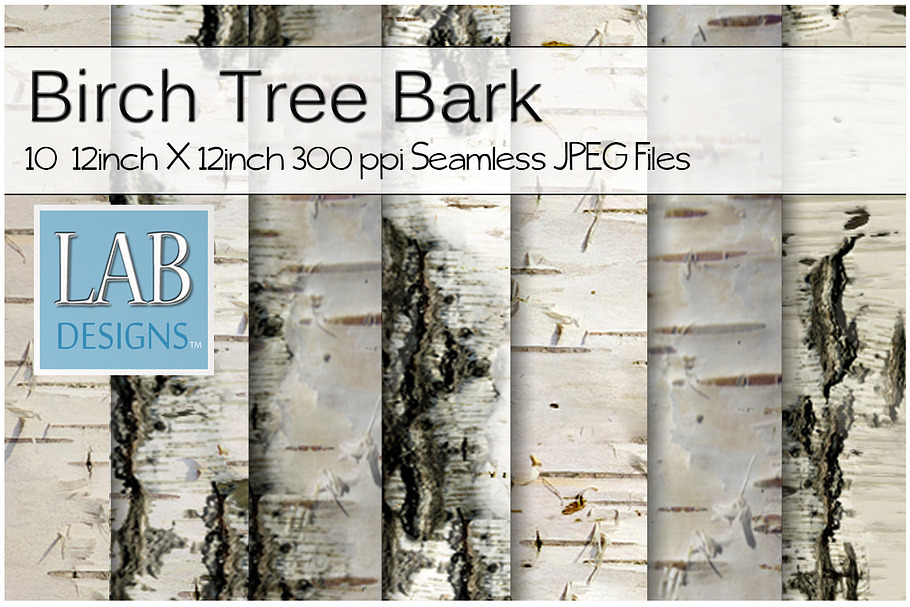 10 Birch Tree Bark Textures