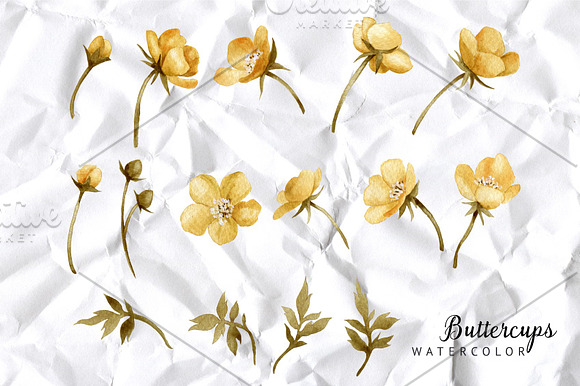 Yellow flowers in Illustrations - product preview 1