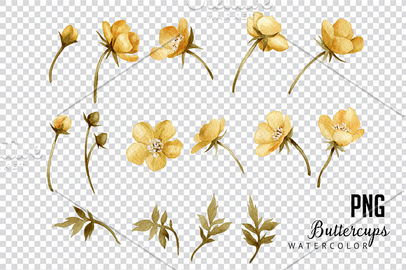 Yellow flowers in Illustrations - product preview 2