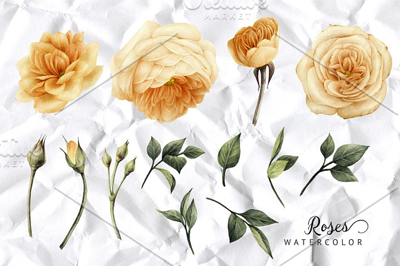 Yellow flowers in Illustrations - product preview 3