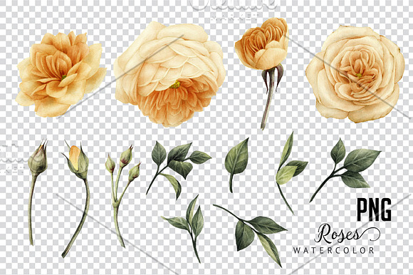 Yellow flowers in Illustrations - product preview 4