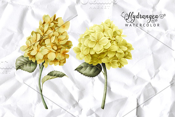 Yellow flowers in Illustrations - product preview 5
