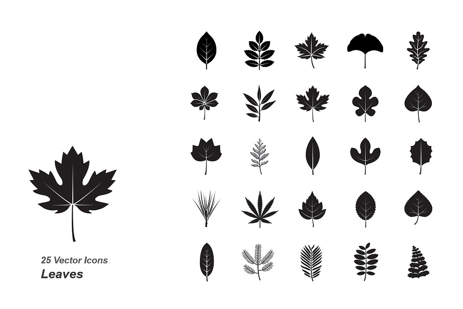 Leaves vector icons in Graphics - product preview 8