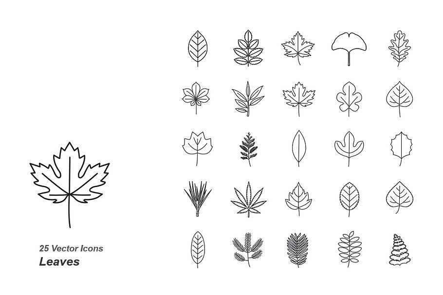 Leaves outlines vector icons in Graphics - product preview 8