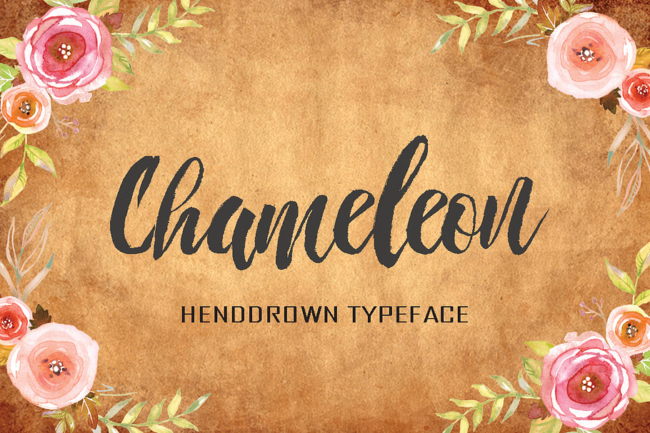 Chameleon in Script Fonts - product preview 8