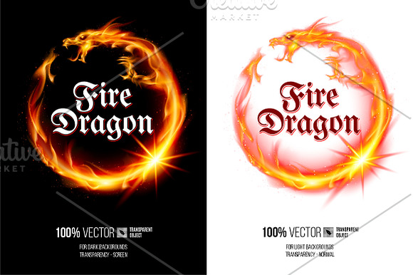 Vector Illustration of Fire Dragon in Logo Templates - product preview 1