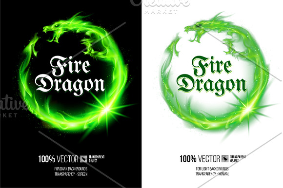 Vector Illustration of Fire Dragon in Logo Templates - product preview 3