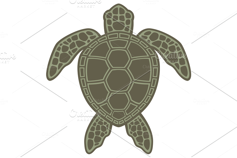 Green Sea Turtle in Illustrations - product preview 8