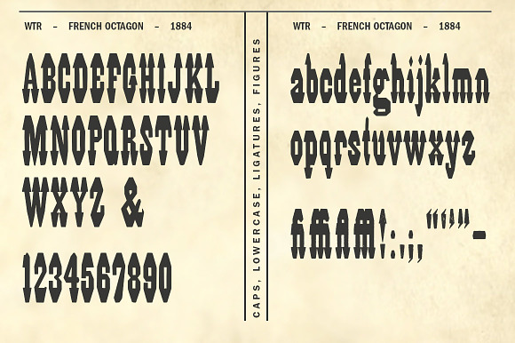 French Octagon in Display Fonts - product preview 2