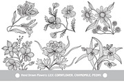 Hand Drawn Decorative Flowers (3)