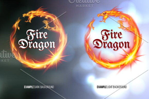 Vector Illustration of Fire Dragon in Logo Templates - product preview 8