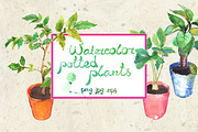 Watercolor potted spring seedlings