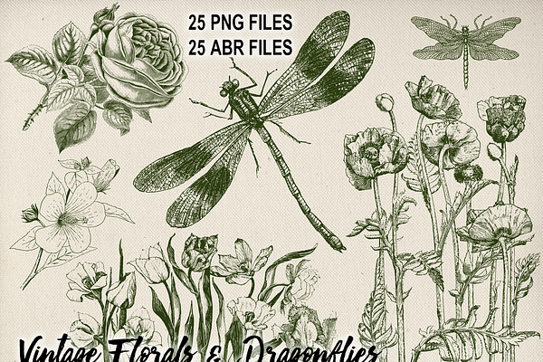 Vintage Floral & Dragonflies Brushes