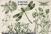 Vintage Floral & Dragonflies Brushes