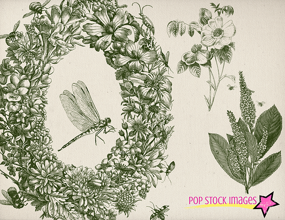Vintage Floral & Dragonflies Brushes in Photoshop Brushes - product preview 2