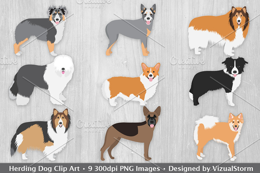 Herding Dog Clip Art Illustrations