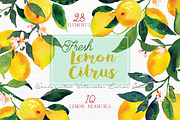 Lemon Citrus -Watercolor Set