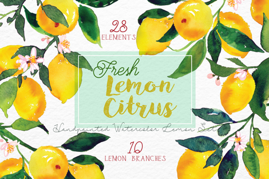 Lemon Citrus -Watercolor Set in Illustrations - product preview 8