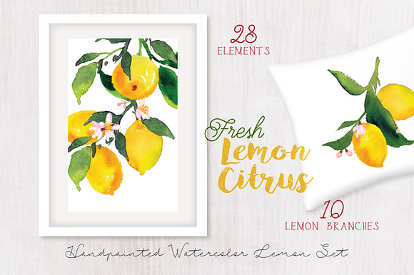 Lemon Citrus -Watercolor Set in Illustrations - product preview 1