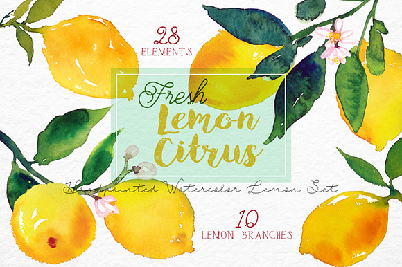 Lemon Citrus -Watercolor Set in Illustrations - product preview 2