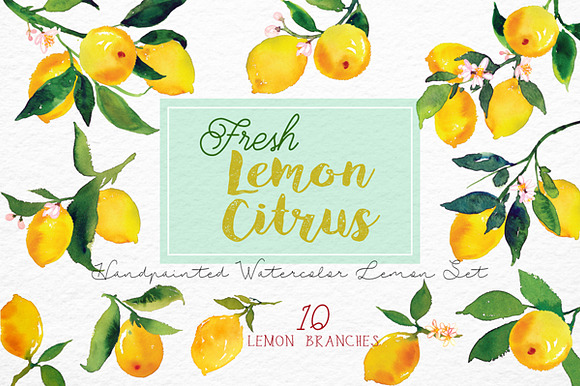 Lemon Citrus -Watercolor Set in Illustrations - product preview 3