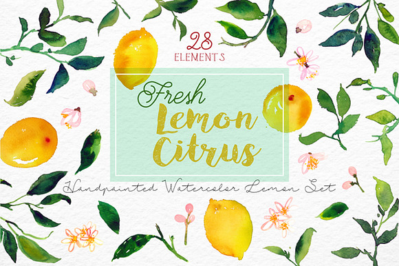 Lemon Citrus -Watercolor Set in Illustrations - product preview 4