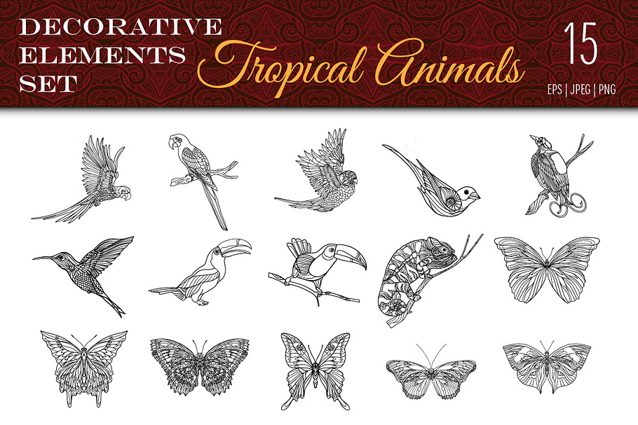 Tropical Wild. Birds, Butterflies. in Illustrations - product preview 8