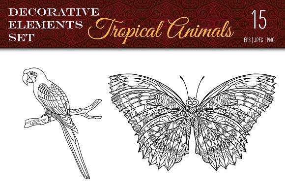 Tropical Wild. Birds, Butterflies. in Illustrations - product preview 1