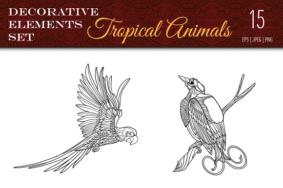 Tropical Wild. Birds, Butterflies. in Illustrations - product preview 2
