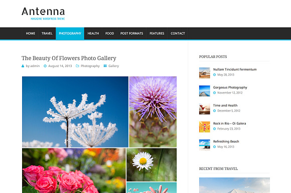 Antenna Magazine Theme in WordPress Magazine Themes - product preview 3