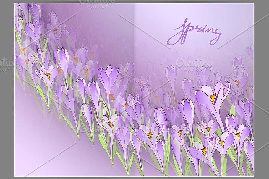 Spring crocuses. Vector illustration in Illustrations - product preview 8