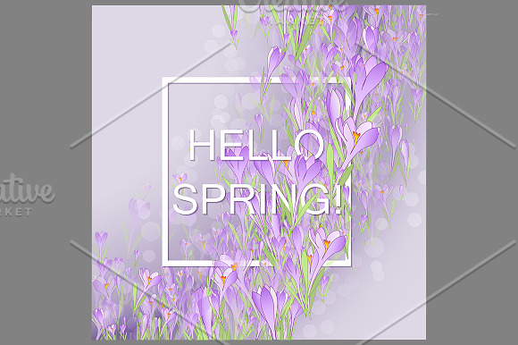 Spring crocuses. Vector illustration in Illustrations - product preview 1