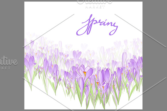 Spring crocuses. Vector illustration in Illustrations - product preview 2