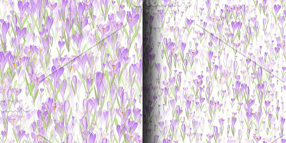 Spring crocuses. Vector illustration in Illustrations - product preview 3
