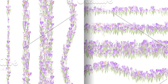 Spring crocuses. Vector illustration in Illustrations - product preview 4