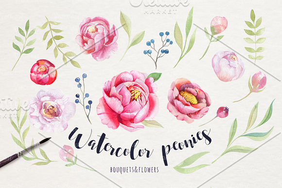 Watercolor  peonies & floral in Illustrations - product preview 1