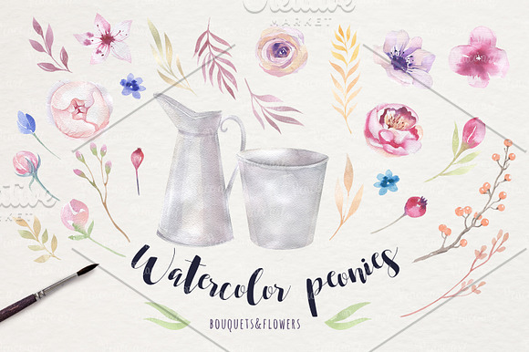 Watercolor  peonies & floral in Illustrations - product preview 2