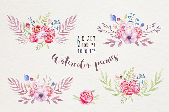 Watercolor  peonies & floral in Illustrations - product preview 5